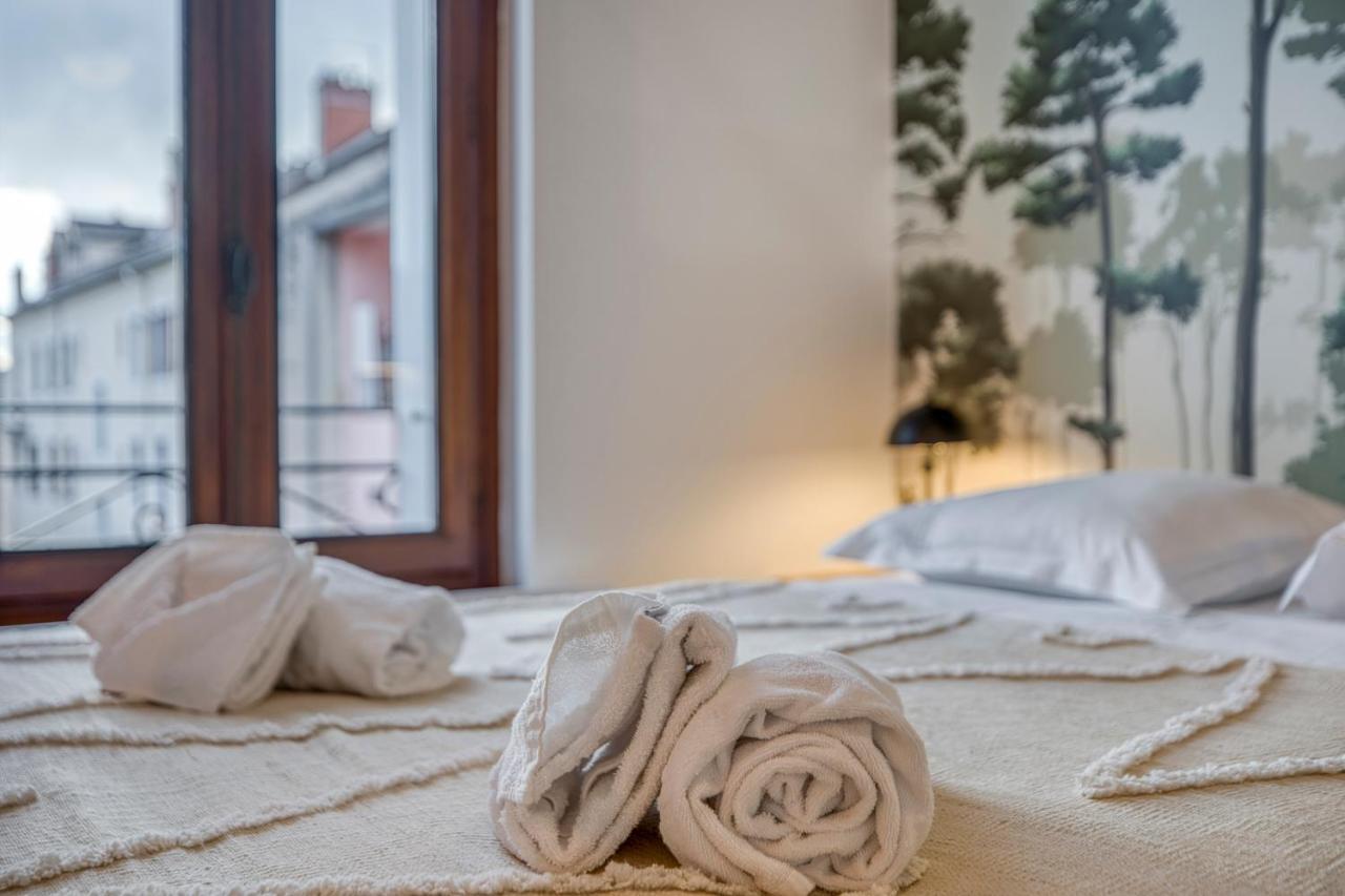 Le Carnot - Mycosyapart, Duplex Coeur De Ville Et Lac, Climatise آنسي المظهر الخارجي الصورة