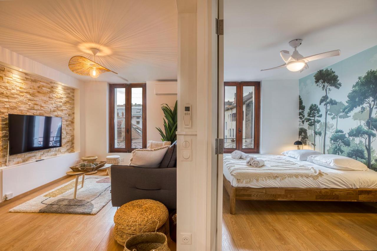 Le Carnot - Mycosyapart, Duplex Coeur De Ville Et Lac, Climatise آنسي المظهر الخارجي الصورة
